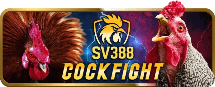 Chương trình VIP Xbet