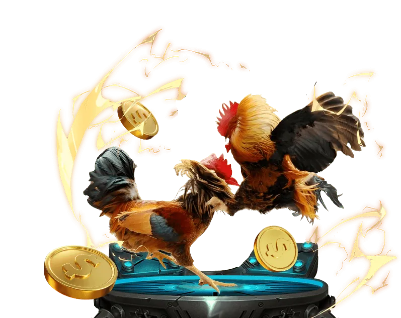 Tổng quan chính sách cookie xbet